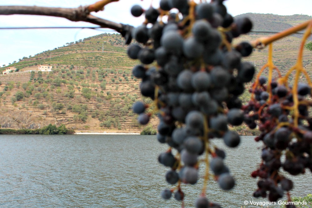 Vallee du douro