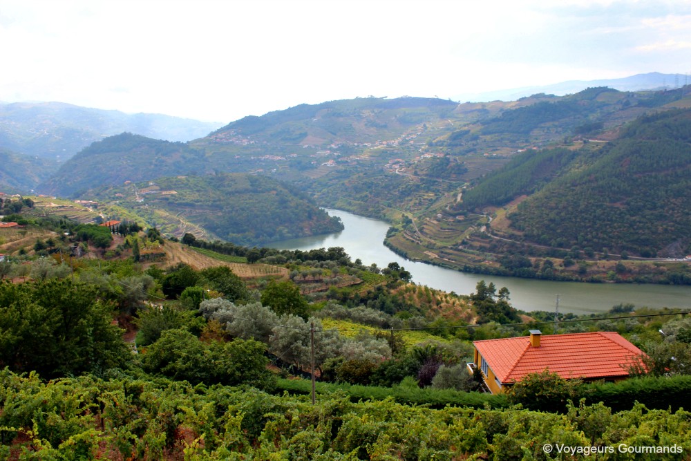 Vallée du douro