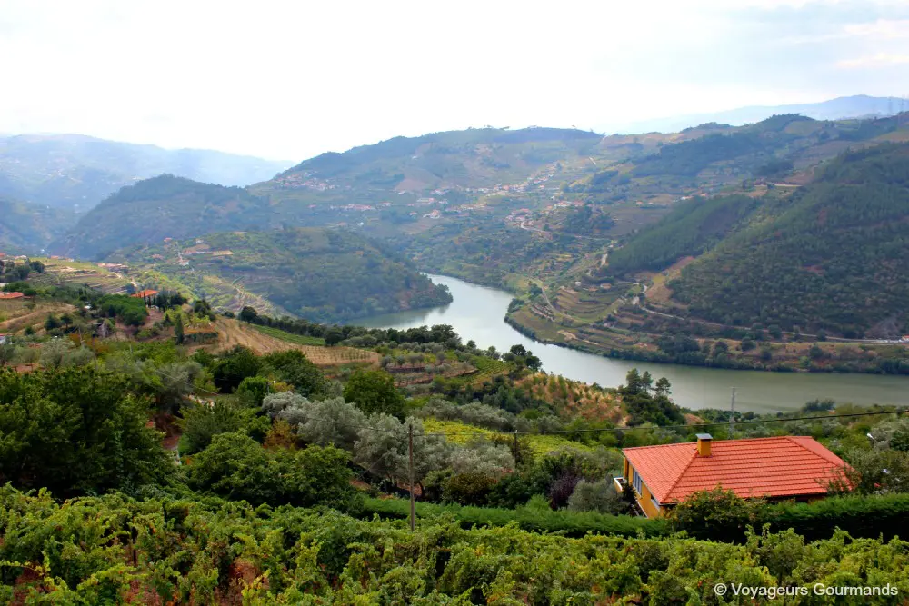 Vallee du douro 9