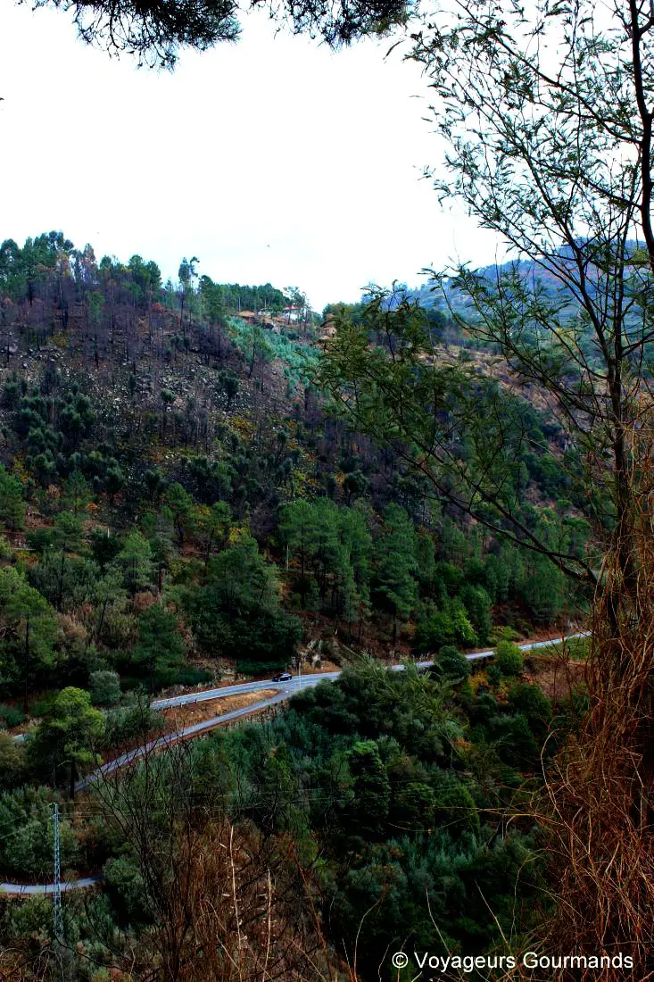Vallee du douro27