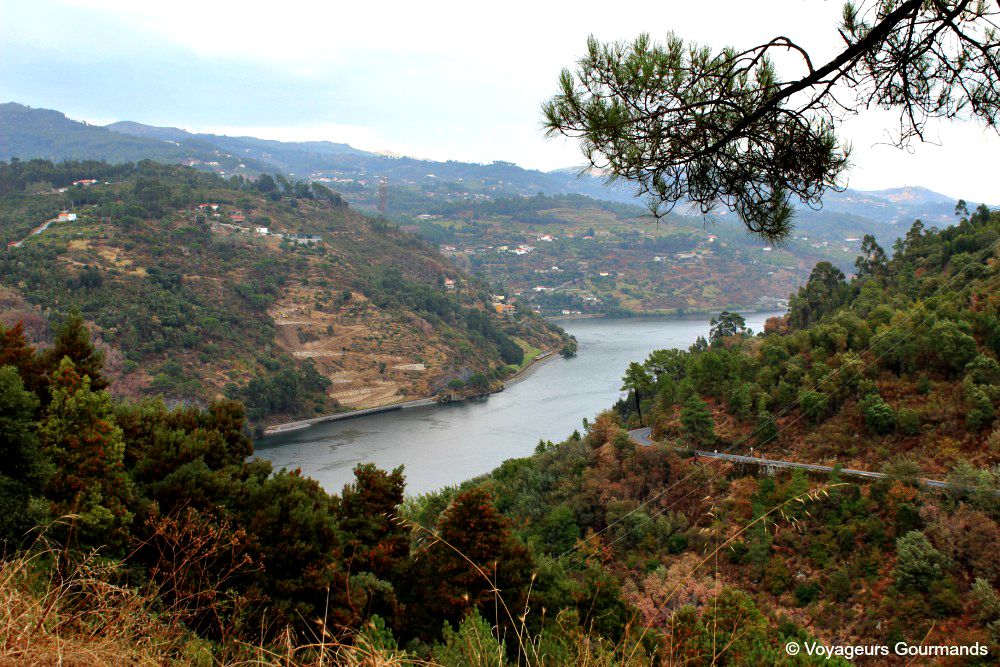 Vallée du Douro