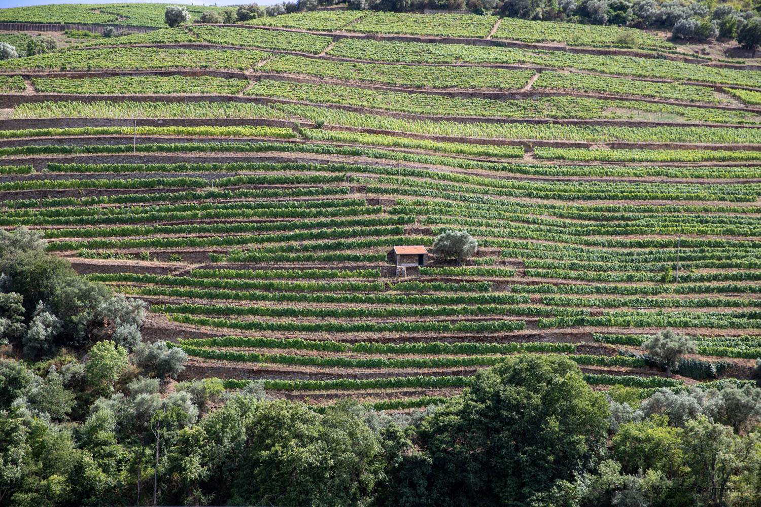 croisière vallée du douro