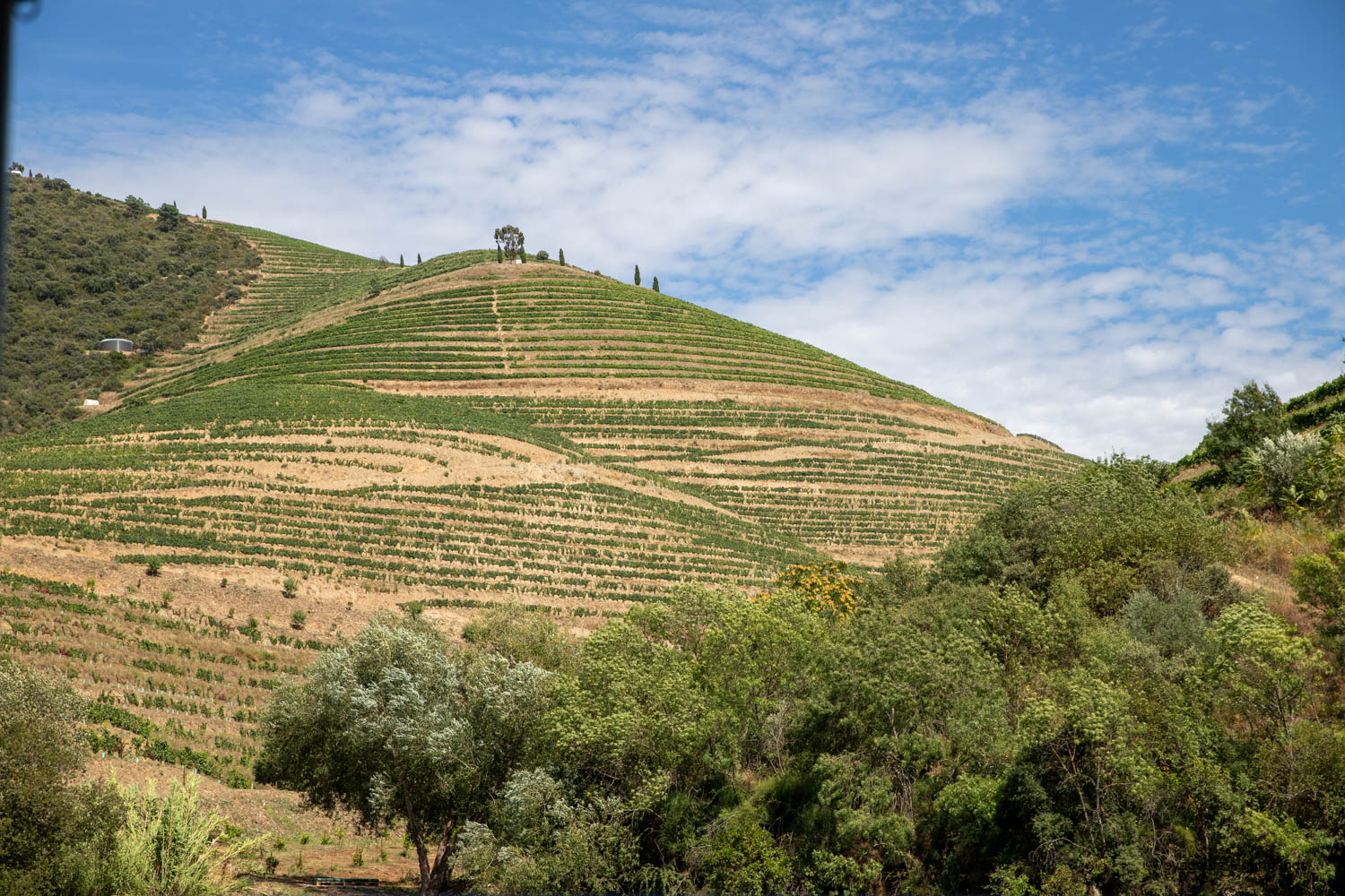 croisière vallée du douro