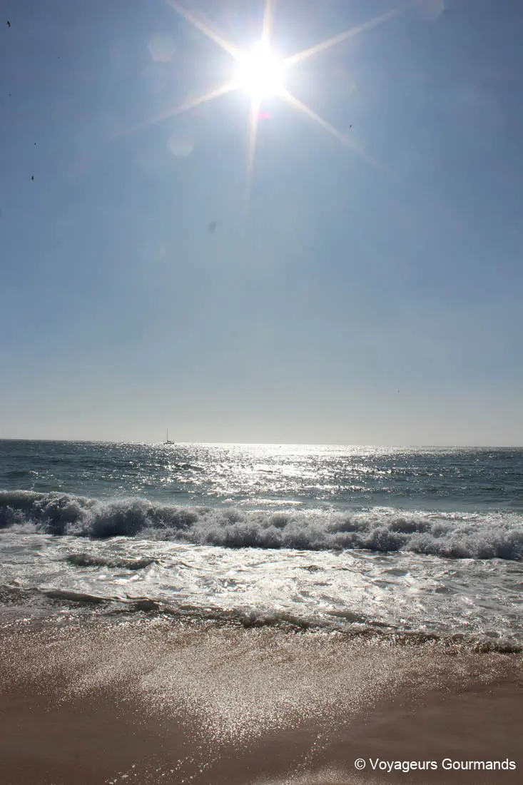 journee a nazare 3