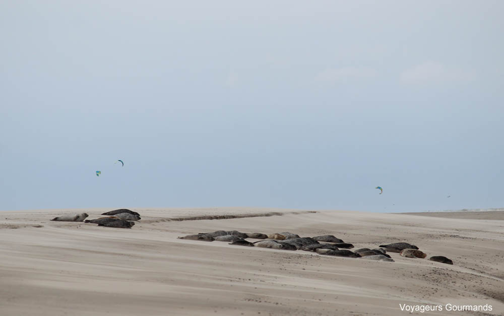 week-end en baie de somme