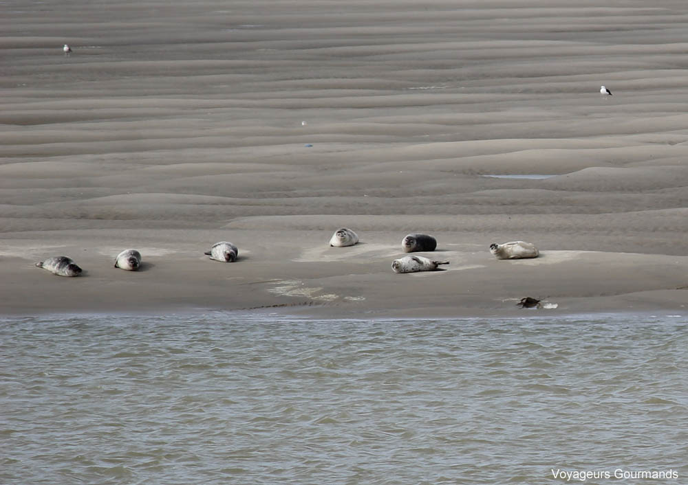 week-end en baie de somme
