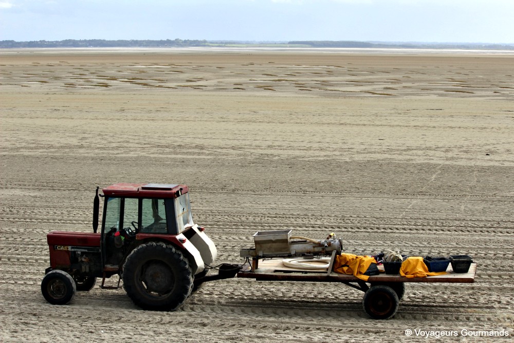 week-end en baie de somme