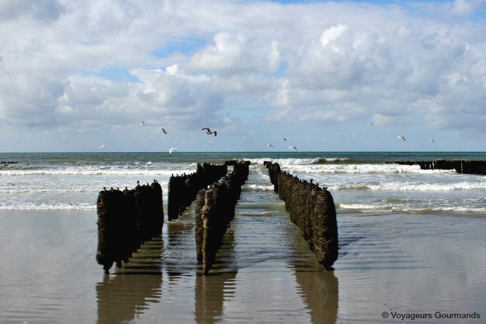 baie de somme