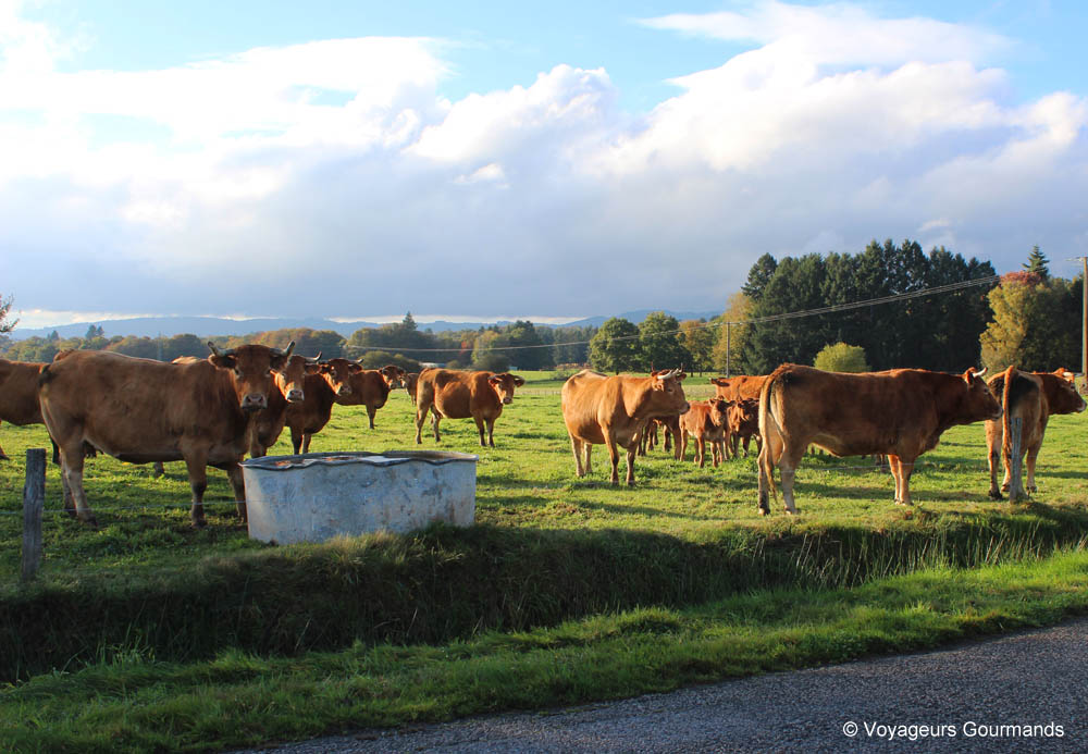 specialite haute vienne