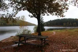 week end en haute vienne 10