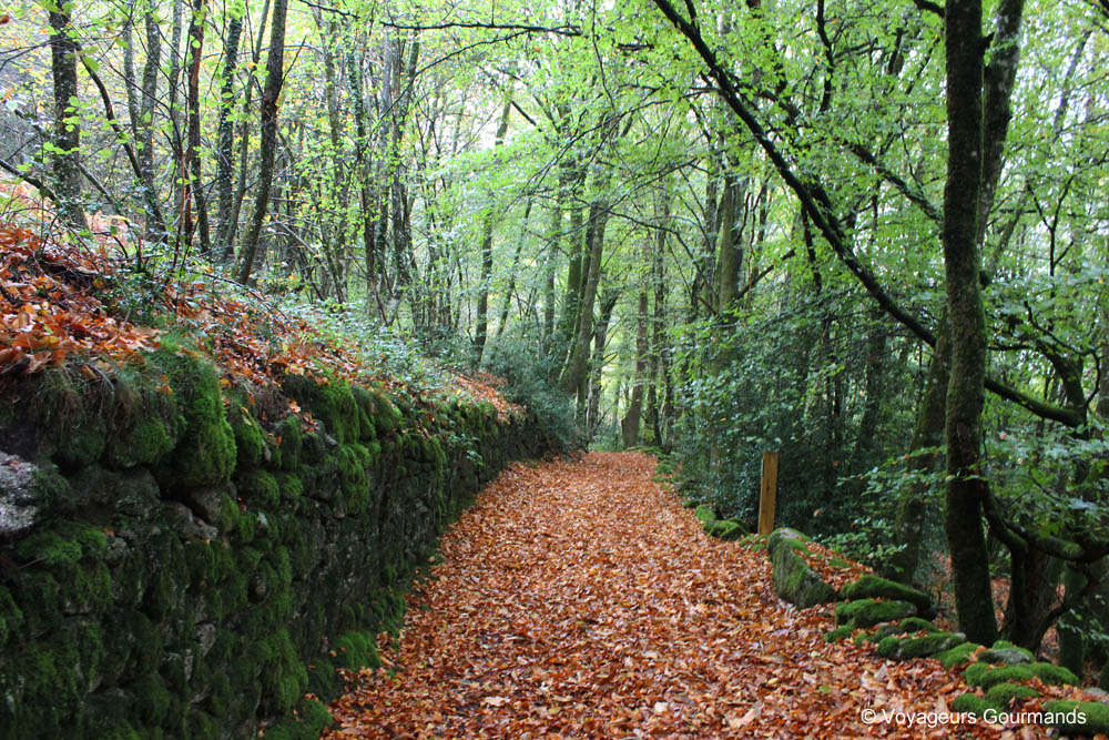 week end en haute vienne 3