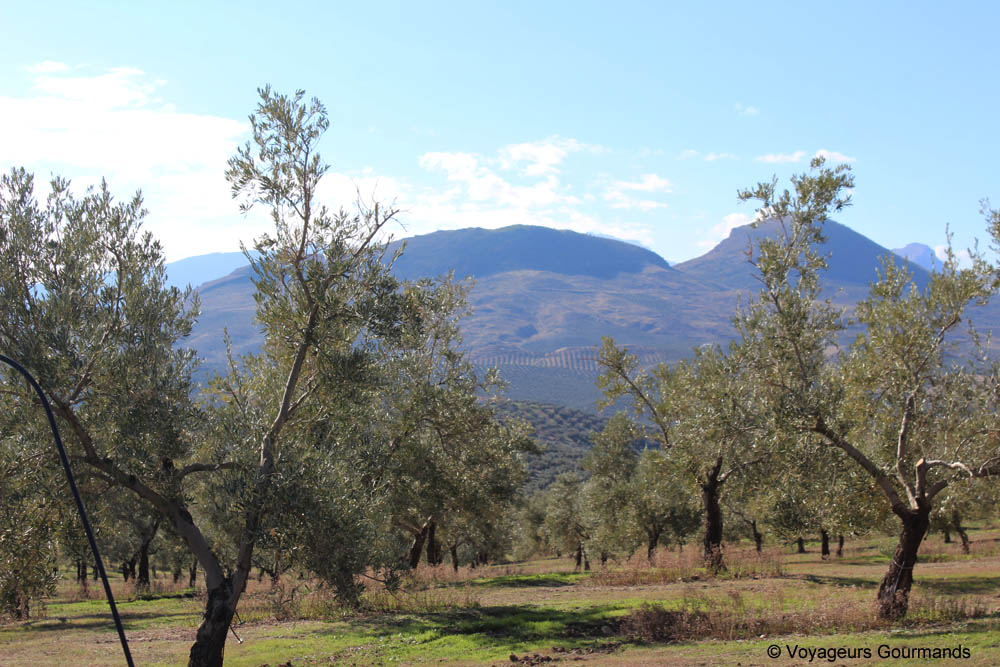 gastronomie en andalousie
