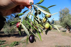 gastronomie en andalousie