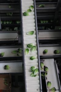 gastronomie en andalousie