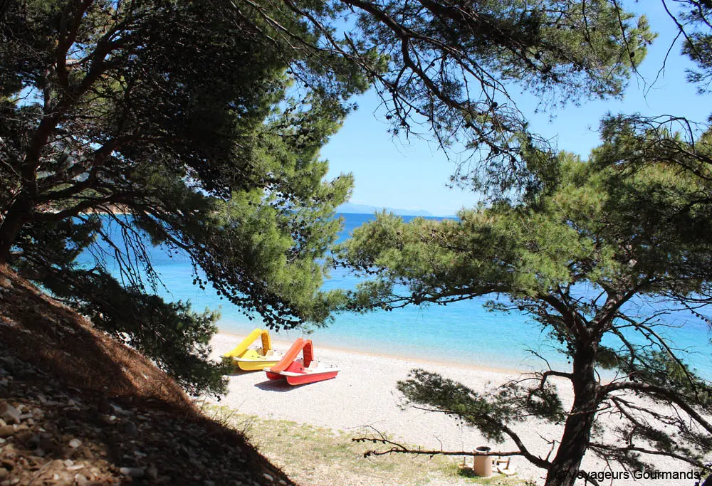 ile de brac