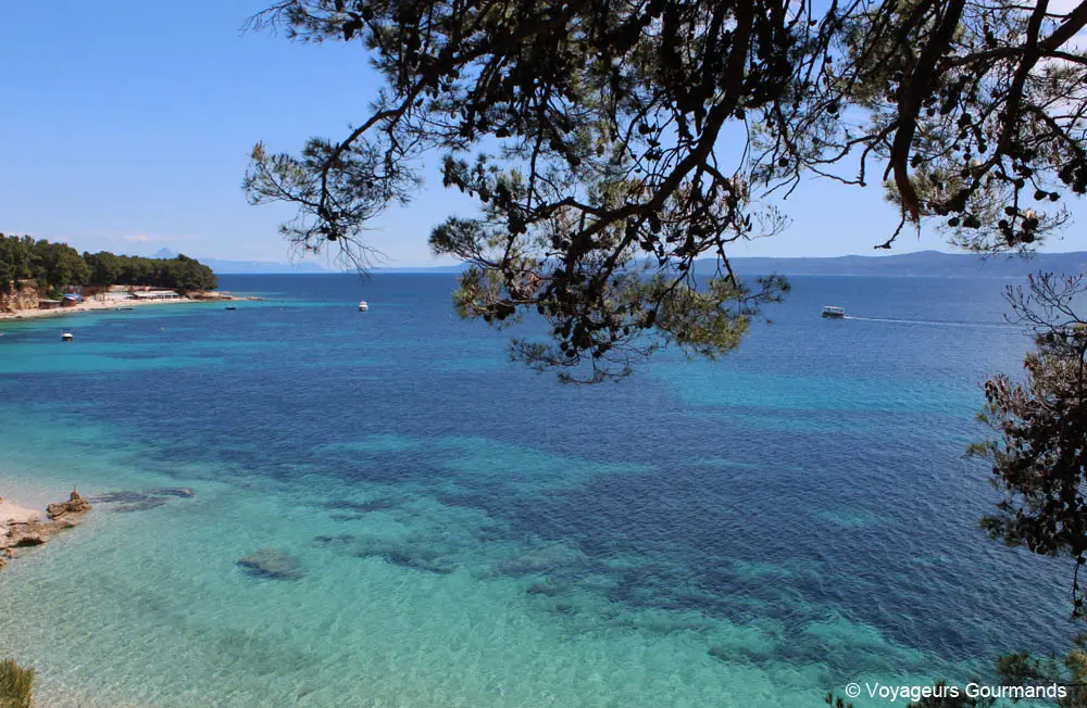 ile de brac