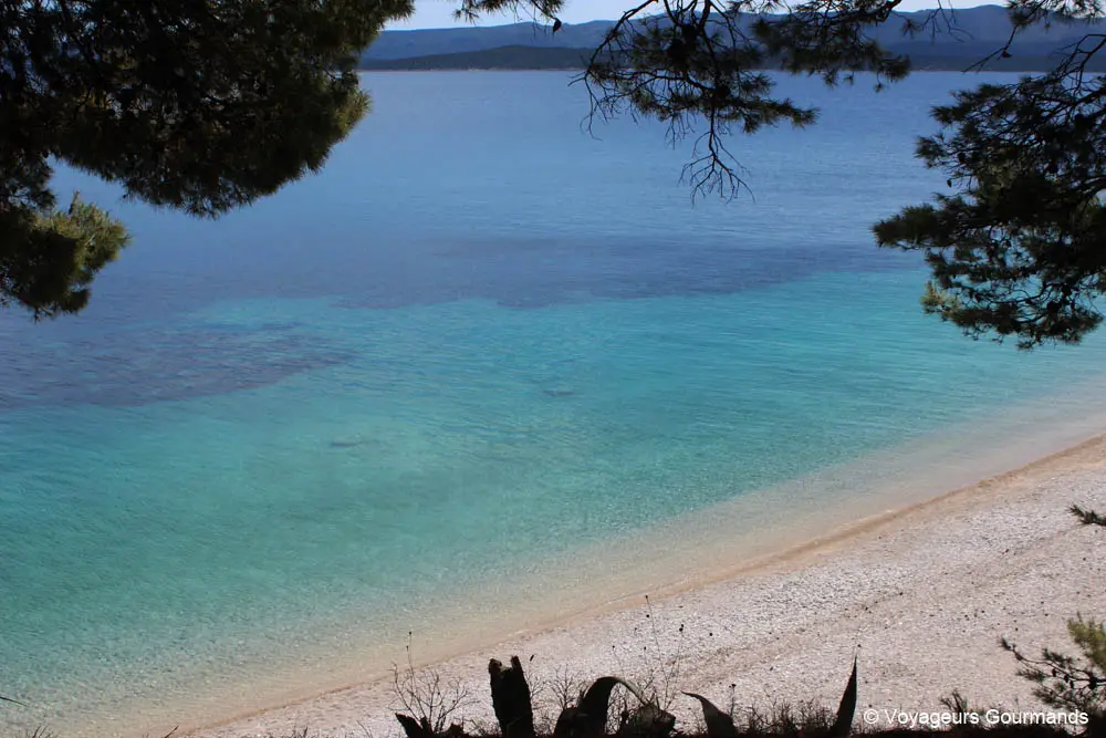 ile de brac