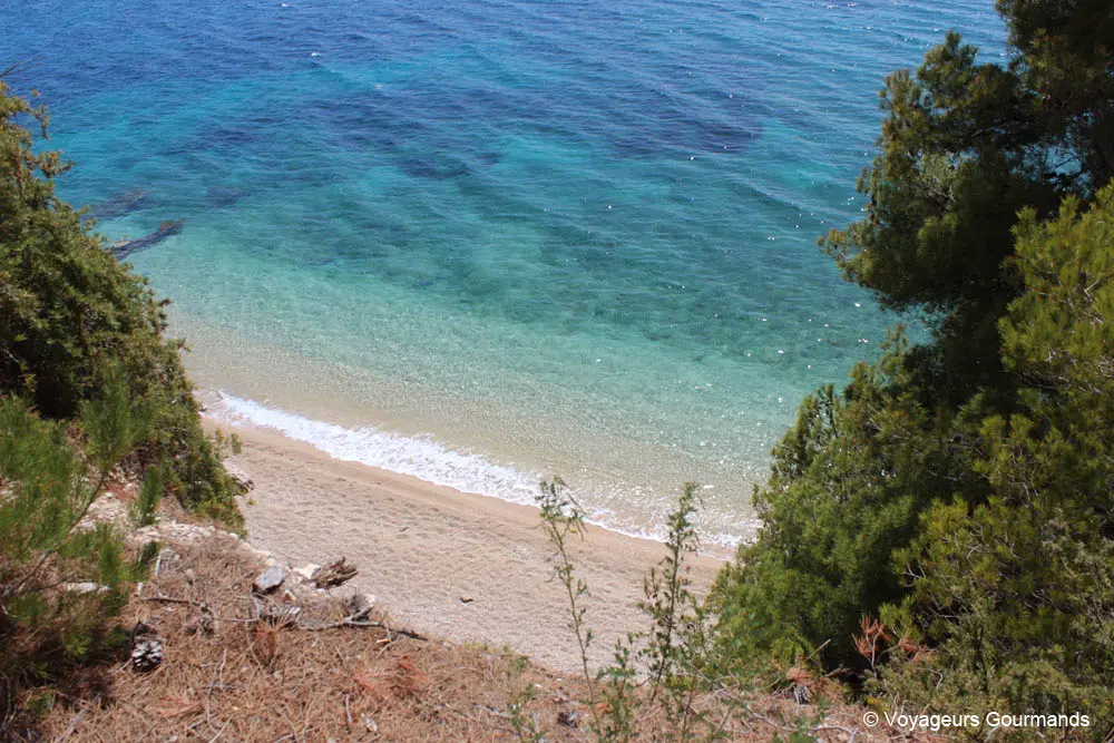ile de brac