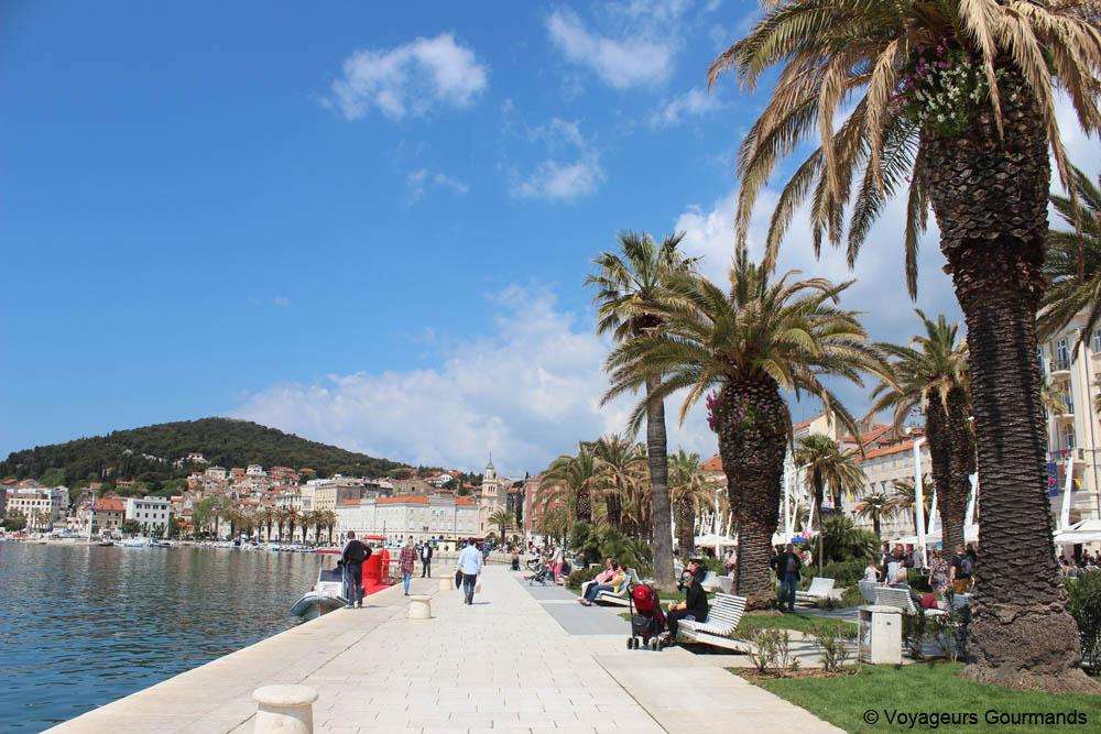 visiter split