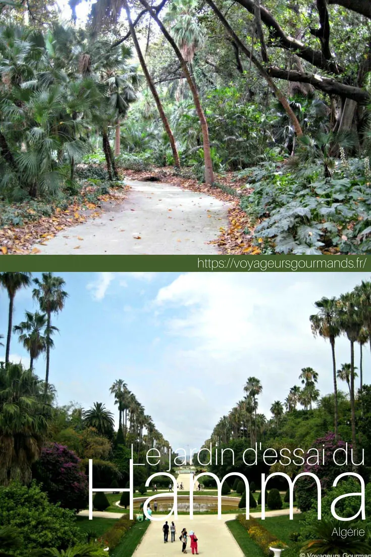 jardin dessai du hamma pinterest