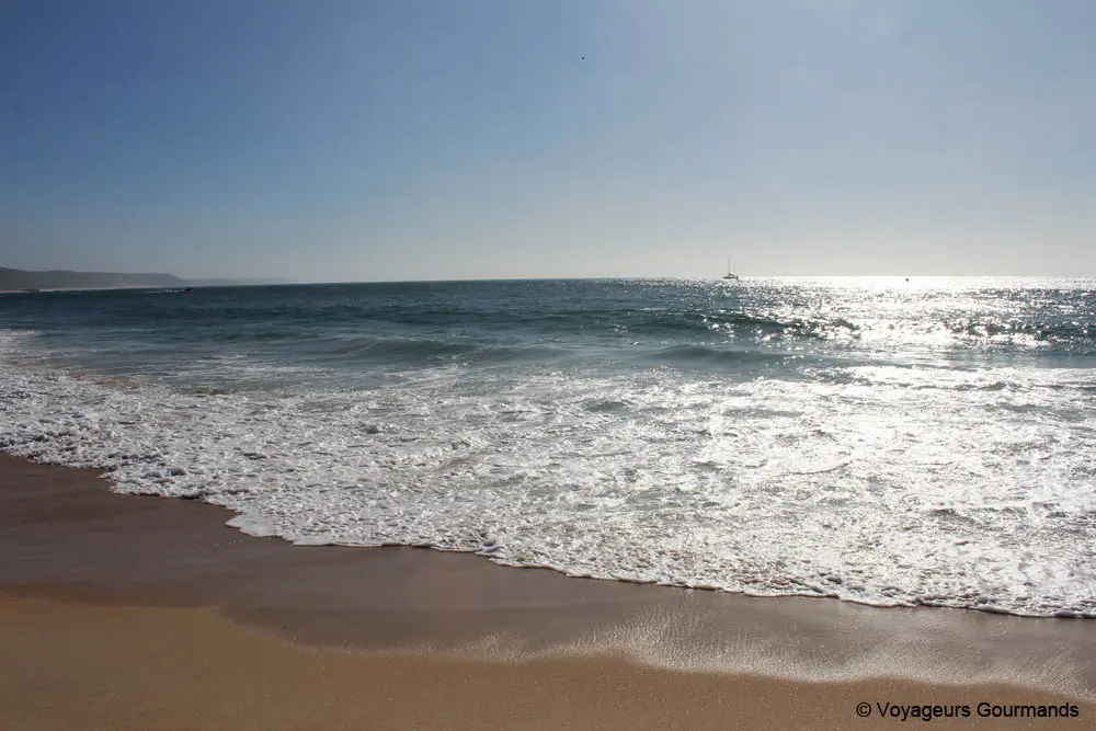 journee a nazare 22