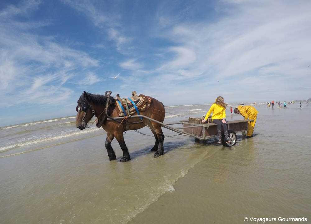 week end sur la cote belge