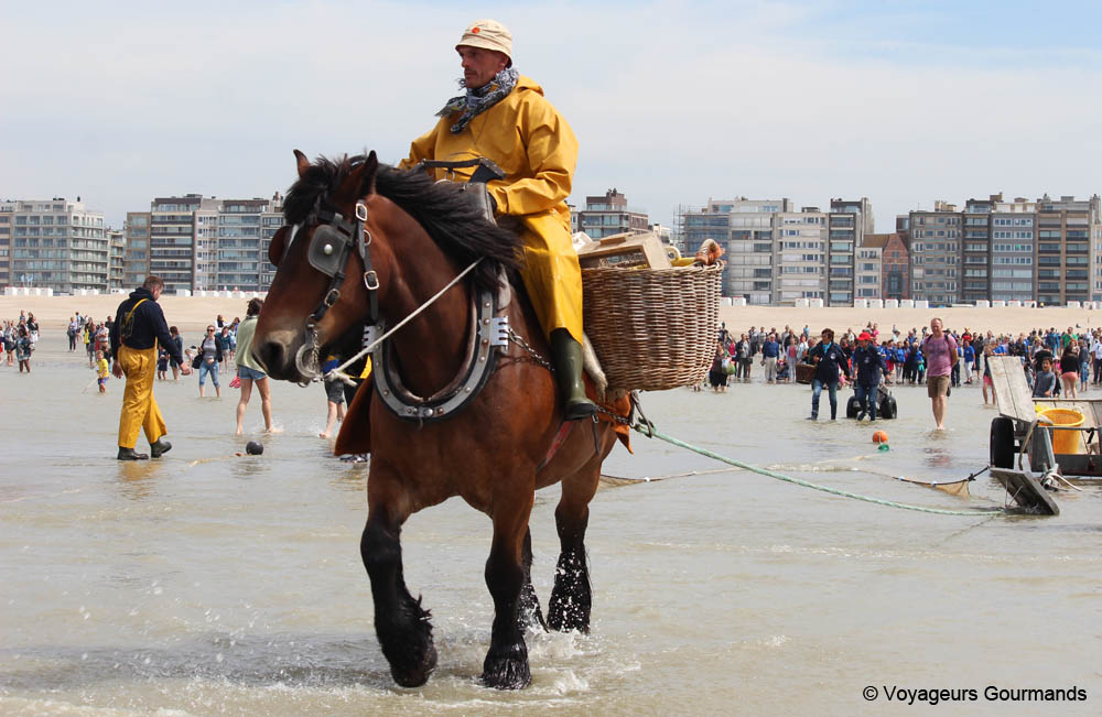 week end sur la cote belge