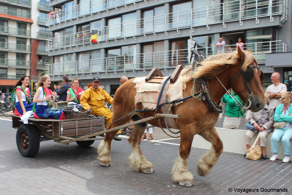 fete de la crevette 18