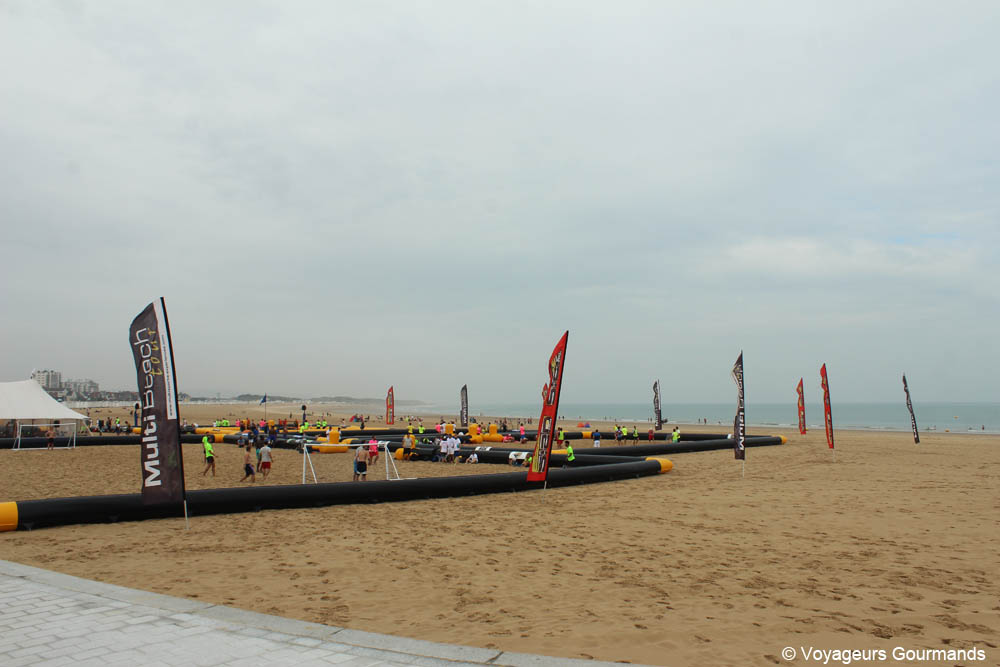 journee a calais