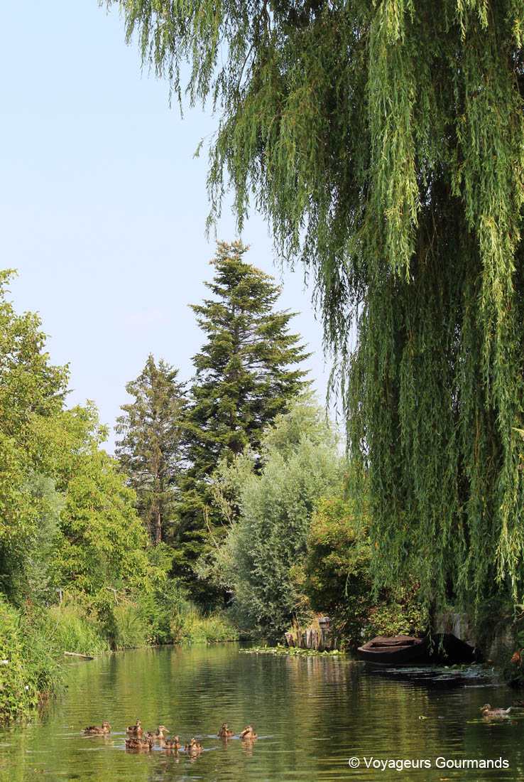 journee a Saint-Omer