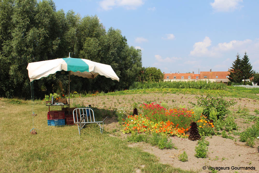 journee a Saint-Omer