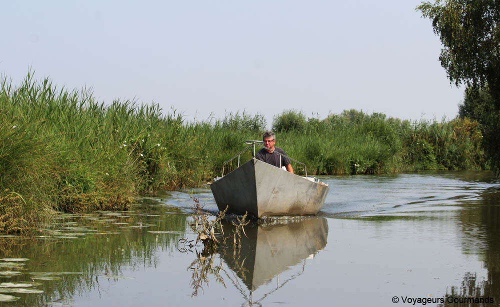 journee a Saint-Omer