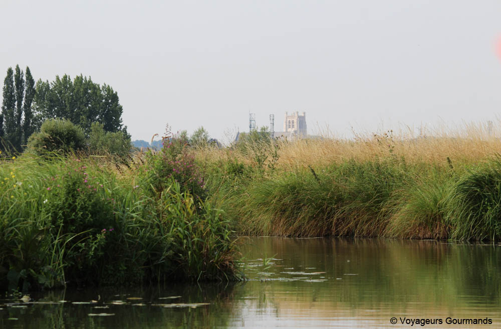 journee a Saint-Omer