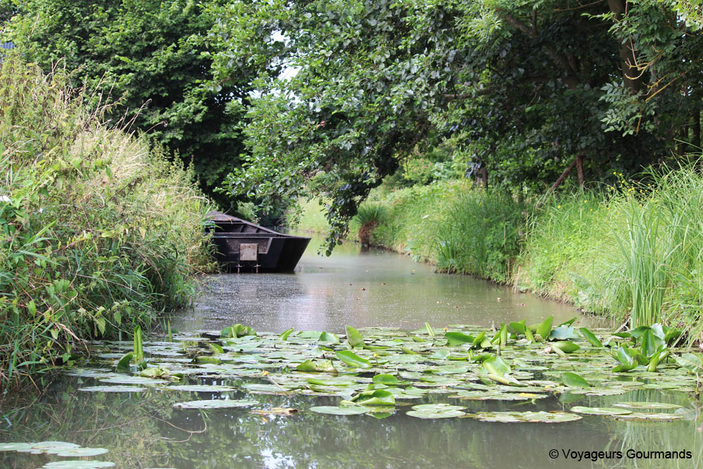 journee a Saint-Omer