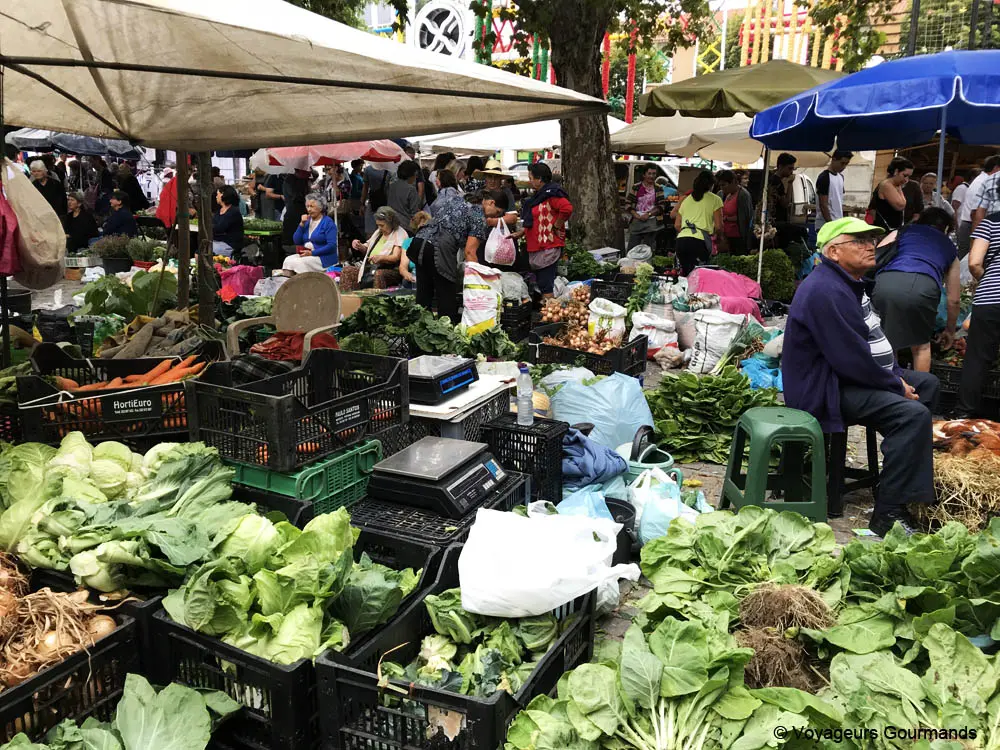 Marche de barcelos 5