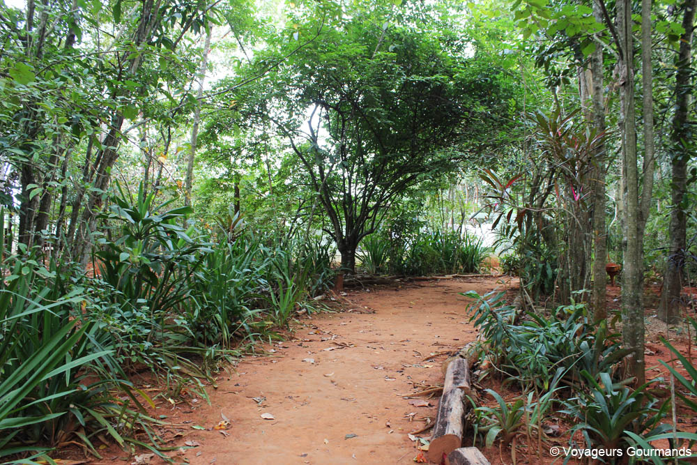 vallee de vinales