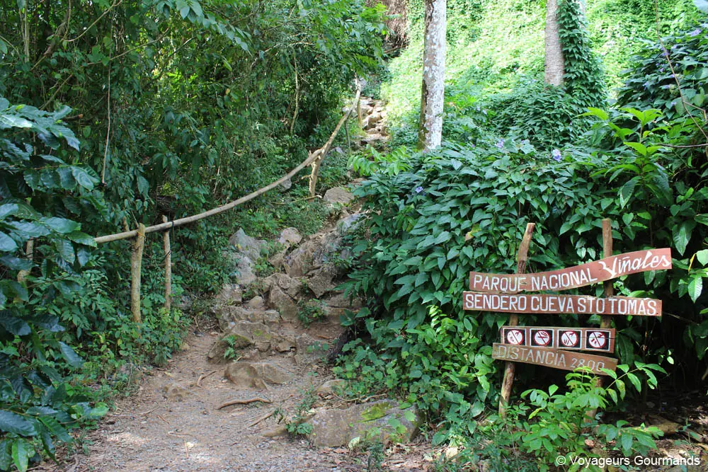 vallee de vinales 11