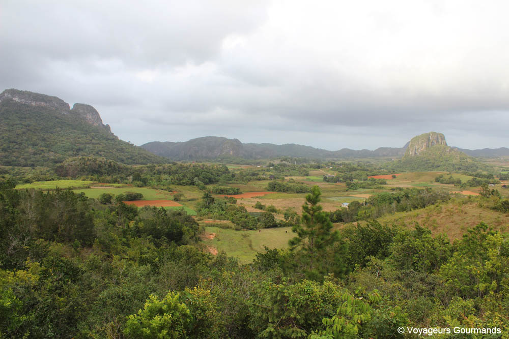 vallee de vinales