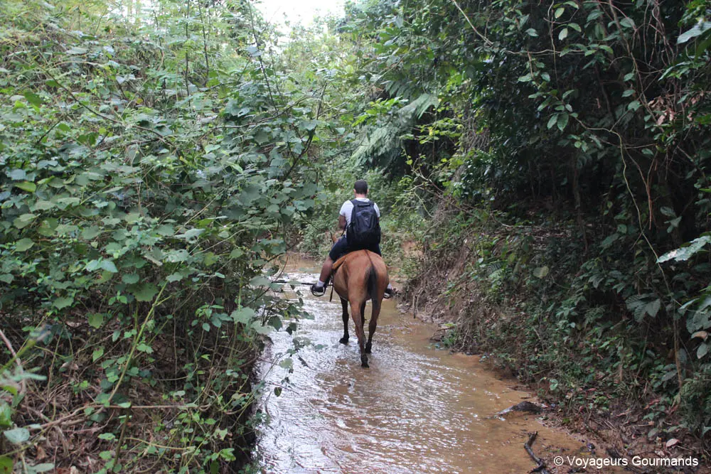 vallee de vinales 23