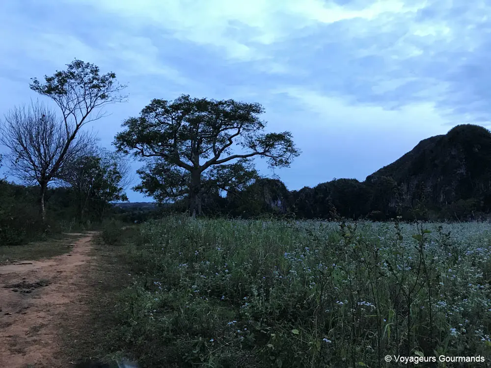 vallee de vinales 29