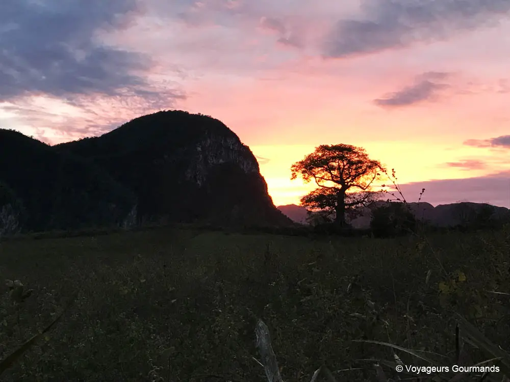 vallee de vinales 30