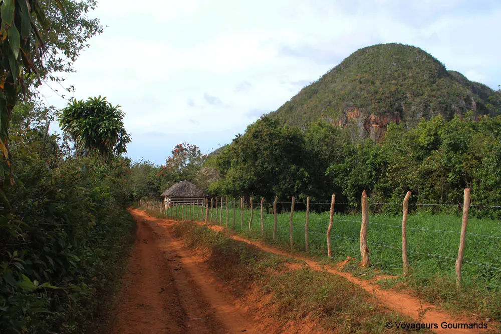 vallee de vinales 31