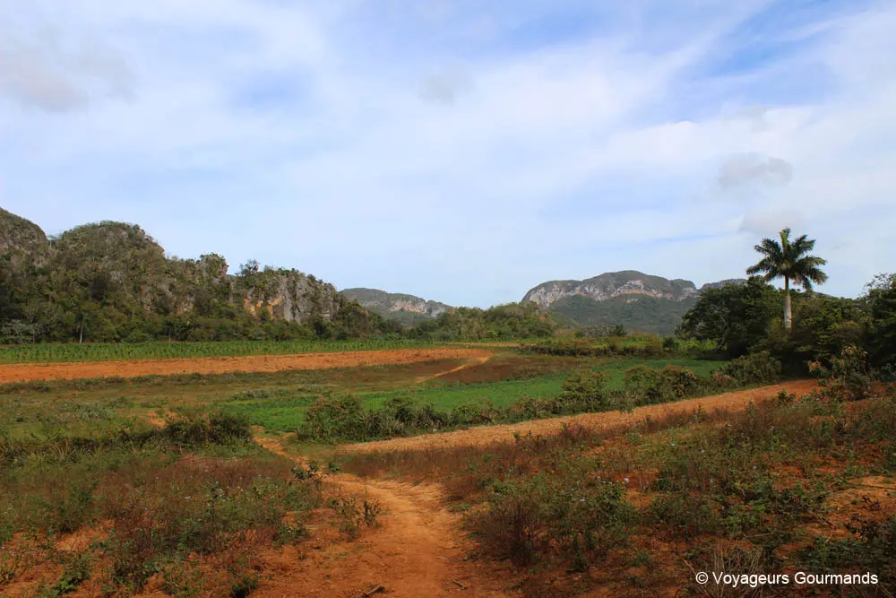 vallee de vinales 32