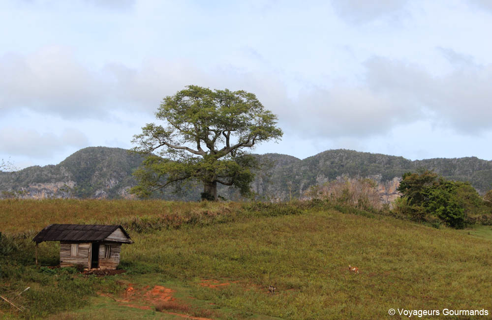 vallee de vinales