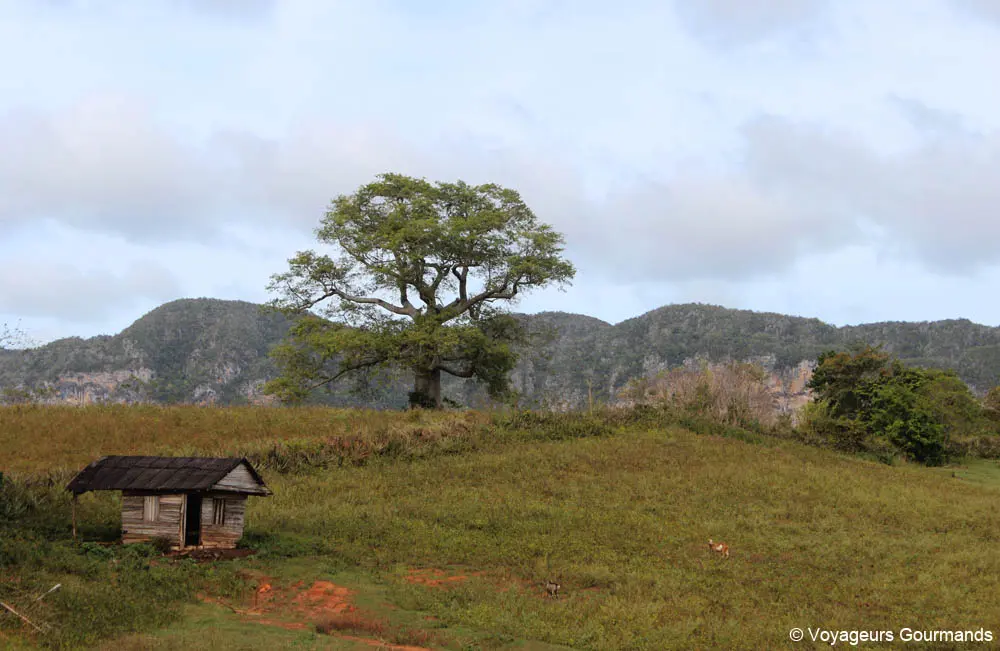 vallee de vinales 33