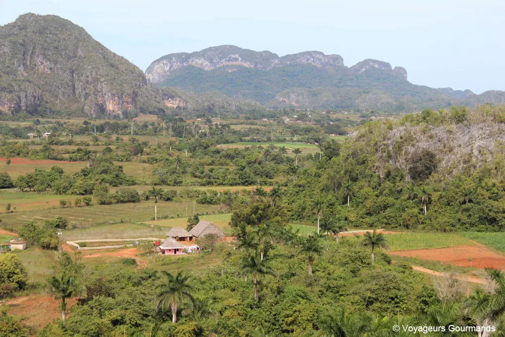 vallee de vinales 35