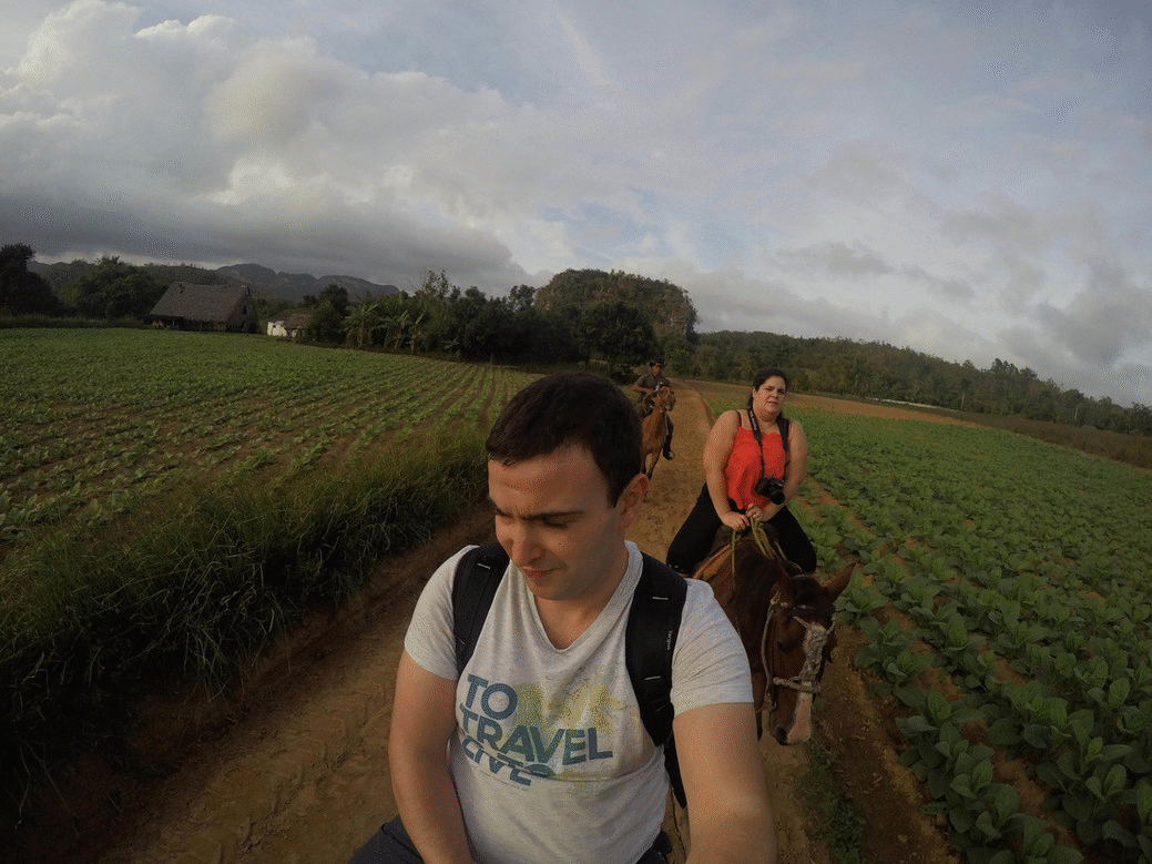 vinales gif