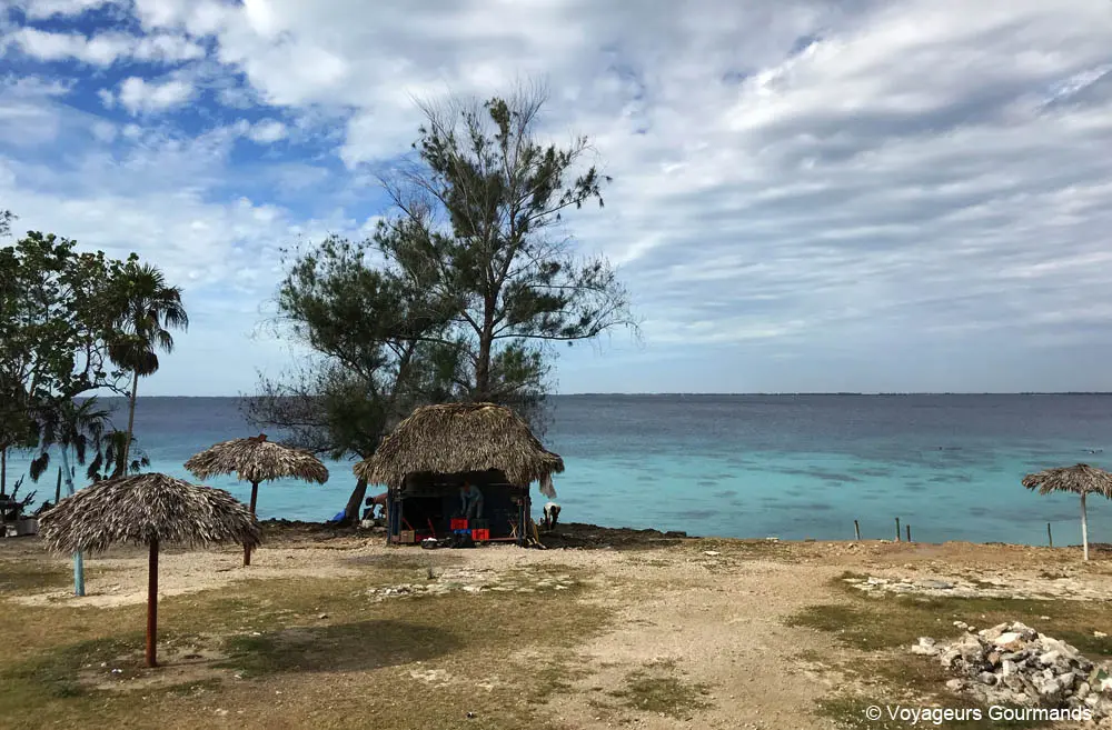 visiter playa larga 16