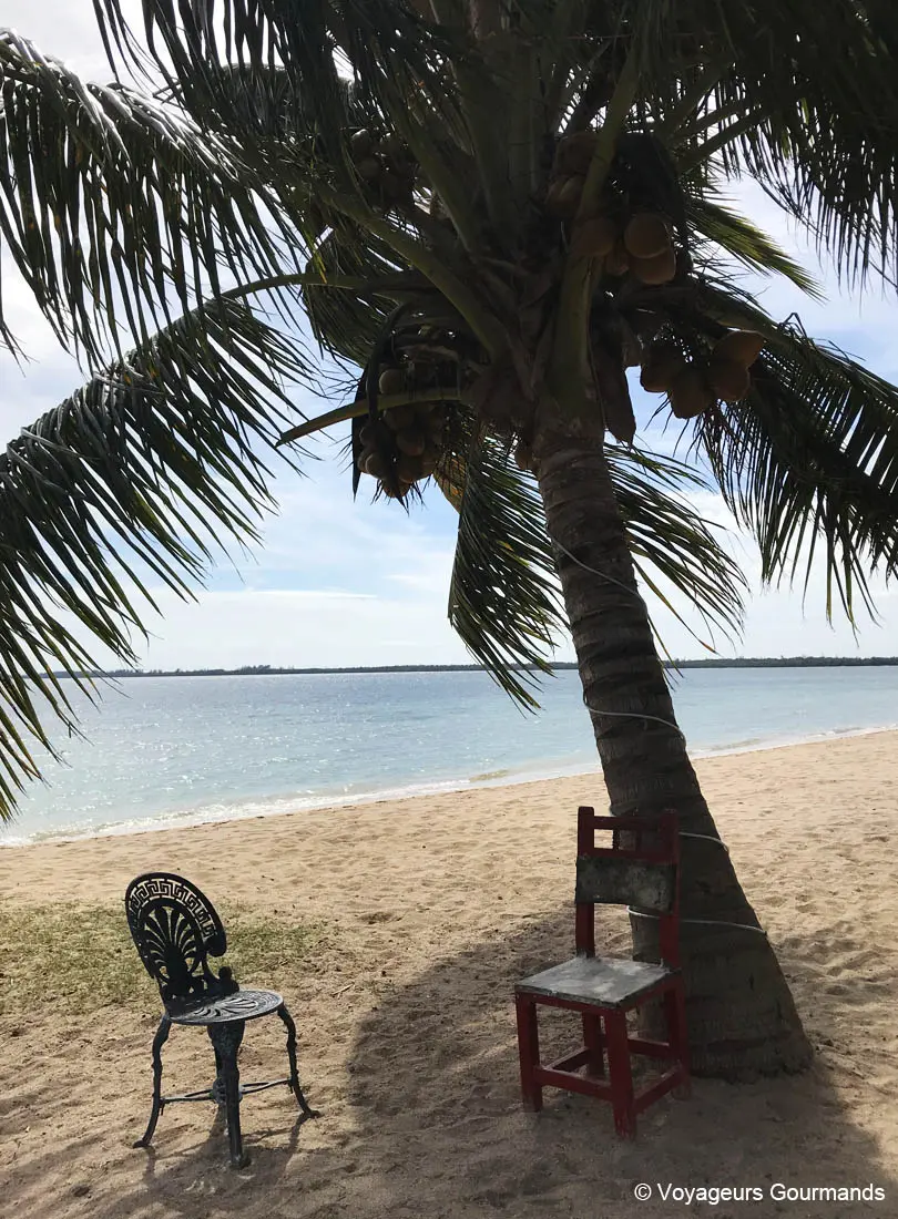 visiter playa larga 20