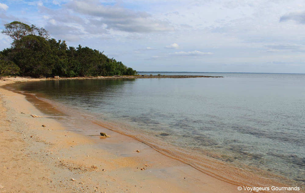 visiter playa larga
